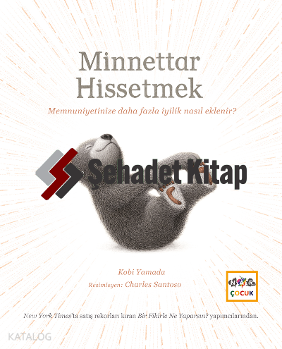 Minettar Hissetmek | Kobi Yamada | Nar Çocuk Yayınları