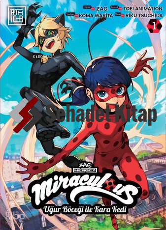 Miraculous: Uğur Böceği ile Kara Kedi 1