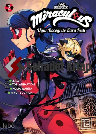 Miraculous: Uğur Böceği ile Kara Kedi 2