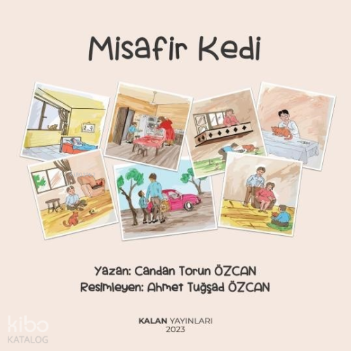 Misafir Kedi