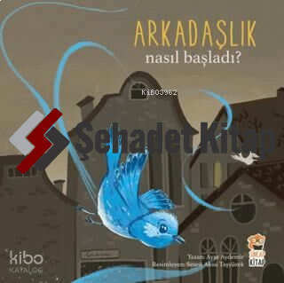 Nasıl Başladı? - Arkadaşlık