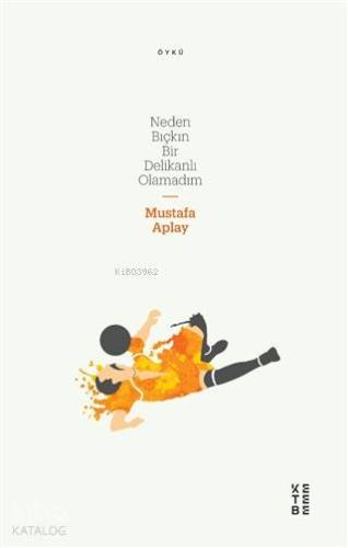 Neden Bıçkın Bir Delikanlı Olamadım | Mustafa Aplay | Ketebe Yayınları