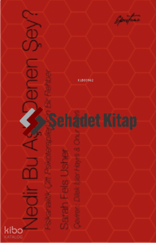 Nedir Bu Aşk Denen Şey?;Psikanalitik Çift Psikoterapileri İçin Bir Rehber