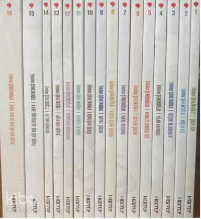 Nesillerin Öyküsü (16 Kitap) | Emine Şenlikoğlu | Mektup Yayınları