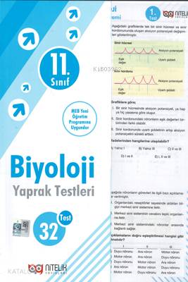 Nitelik - 11. Sınıf Biyoloji Yaprak Testleri