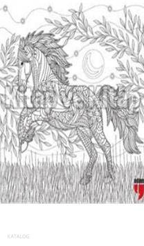 Nuh'un Gemisi Tablo Boyama Serisi 6 - At