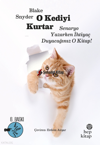 O Kediyi Kurtar: Senaryo Yazarken İhtiyaç Duyacağınız O Kitap!