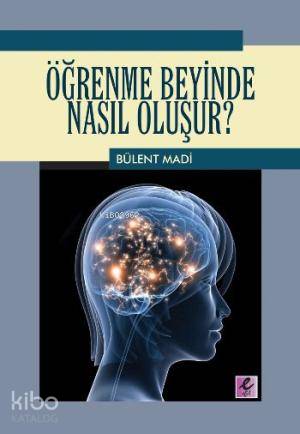 Öğrenme Beyinde Nasıl Oluşur?