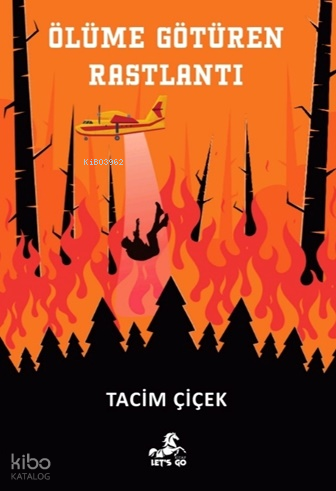 Ölüme Götüren Rastlantı;Seçkin’in Serüvenleri 8. Kitap