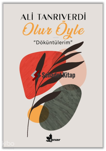 Olur Öyle;‘‘Döküntülerim’’ | Ali Tanrıverdi | Çınar Yayınları