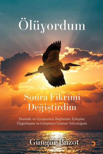 Ölüyordum Sonra Fikrimi Değiştirdim;Hastalık ve Uyuşturucu İlaçlardan; İyileşme, Özgürleşme ve Gelişmeye Uzanan Yolculuğum