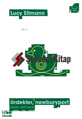 Ördekler, Newburyport