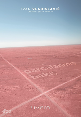 Parçalanmış Bakış