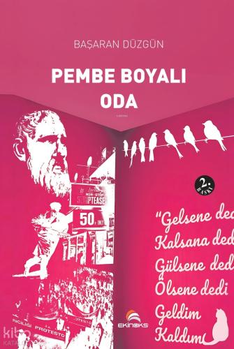 Pembe Boyalı Oda | Başaran Düzgün | Ekinoks Yayınevi