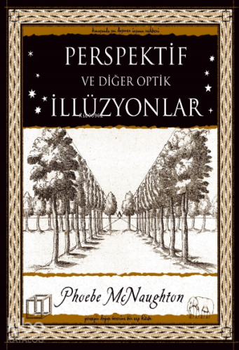Perspektif ve Diğer Optik İllüzyonlar