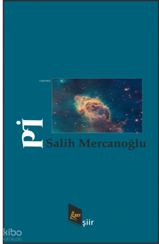 Pi | Salih Mercanoğlu | Kayıp Kitaplar Yayınları