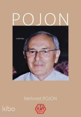 Pojon