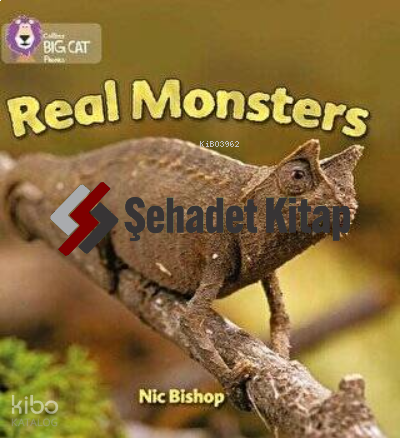 Real Monsters (Big Cat Phonics-3 Yellow)