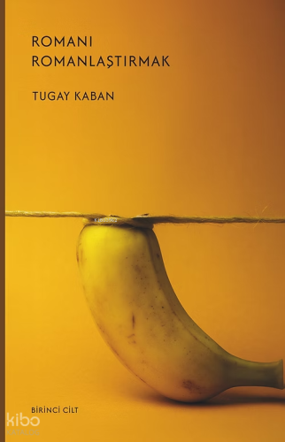 Romanı Romanlaştırmak 1. Cilt