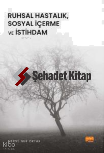 Ruhsal Hastalık, Sosyal İçerme ve İstihdam