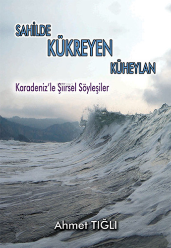 Sahilde Kükreyen Küheylan;Karadeniz'le Şiirsel Söyleşiler