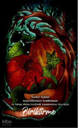 Şaman Defterleri - Biriktirme;Şamanlardan size mesaj var