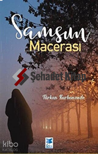 Samsun Macerası