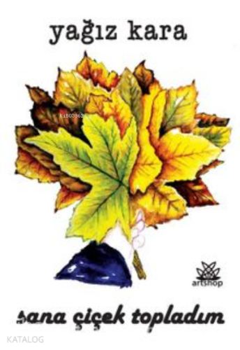 Sana Çiçek Topladım