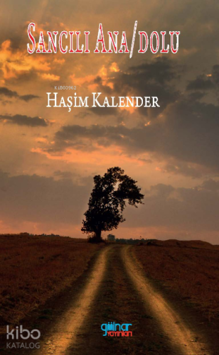 Sancılı Ana/Dolu | Haşim Kalender | Gülnar Yayınları