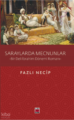 Saraylarda Mecnunlar ;Bir Deli İbrahim Dönemi Romanı
