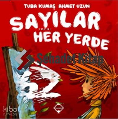 Sayılar Her Yerde | Tuba Kumaş | Buzdağı Yayınevi