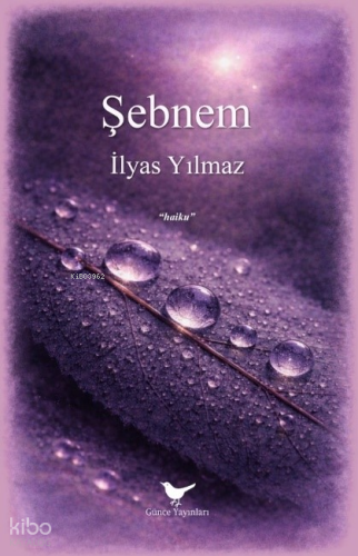 Şebnem | İlyas Yılmaz | Günce Yayınları