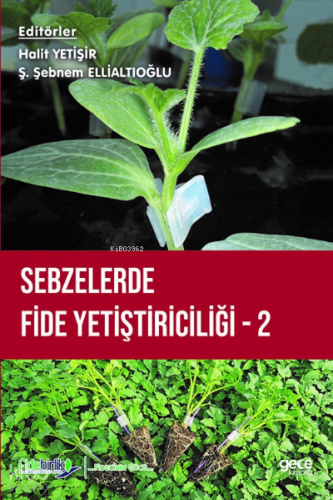 Sebzelerde Fide Yetiştiriciliği 2