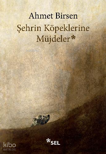 Şehrin Köpeklerine Müjdeler | Ahmet Birsen | Sel Yayıncılık