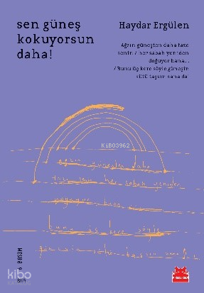 Sen Güneş Kokuyorsun Daha! | Haydar Ergülen | Kırmızıkedi Yayınevi