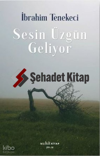 Sesin Üzgün Geliyor | İbrahim Tenekeci | Muhit Kitap