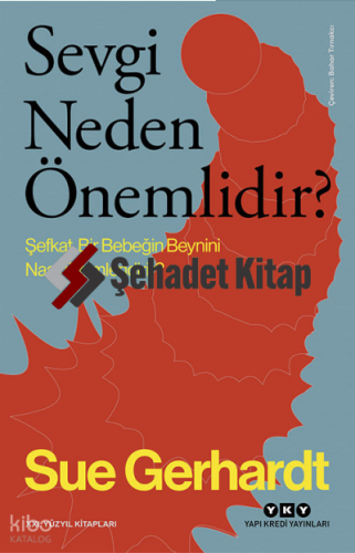 Sevgi Neden Önemlidir ?; Şefkat Bir Bebeğin Beynini Nasıl Biçimlendirir?