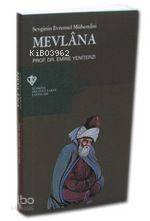 Sevginin Evrensel Mühendisi Mevlana | Emine Yeniterzi | Türkiye Diyane