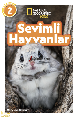 Sevimli Hayvanlar