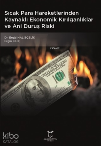 Sıcak Para Hareketlerinden Kaynaklı Ekonomik Kırılganlıklar ve Ani Duruş Riski
