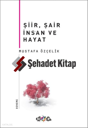 Şiir, Şair İnsan Ve Hayat