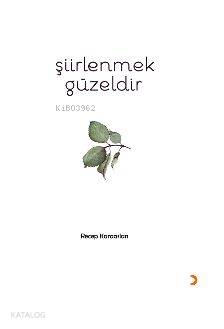 Şiirlenmek Güzeldir