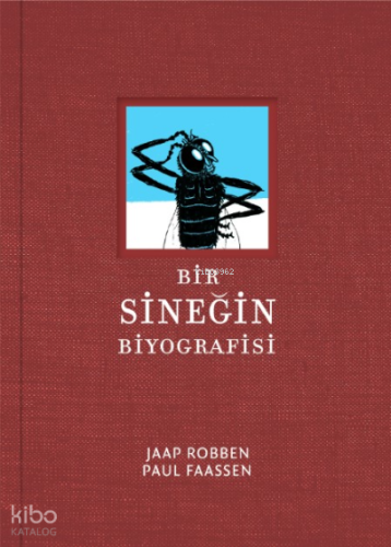 Sinegin Biyografisi