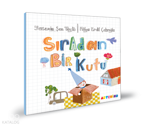 Sıradan Bir Kutu