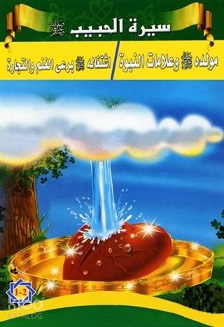 Siretü'l-Habib - Peygamberimizin Hayatı (5 Kitap Takım)