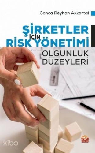 Şirketler İçin Risk Yönetimi; Olgunluk Düzeyleri