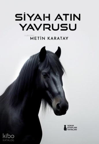 Siyah Atın Yavrusu