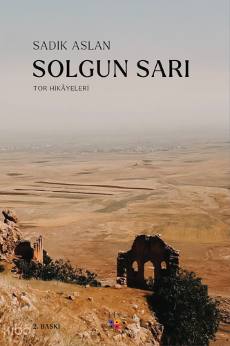 Solgun Sarı | Sadık Aslan | Lîs Yayınları