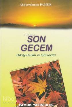 Son Gecem (Kültür-003); Hikayelerim ve Şiirlerim