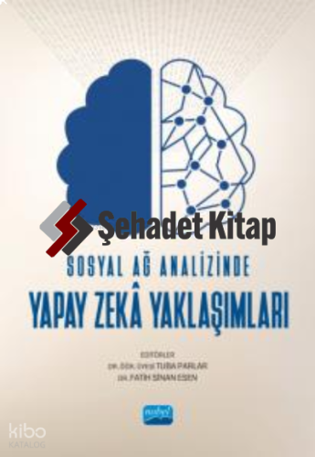 Sosyal Ağ Analizinde Yapay Zekâ Yaklaşımları